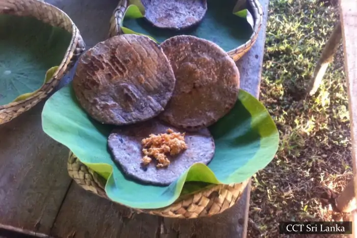 Bullock Cart Tour Sigiriya & Hiriwadunna Village