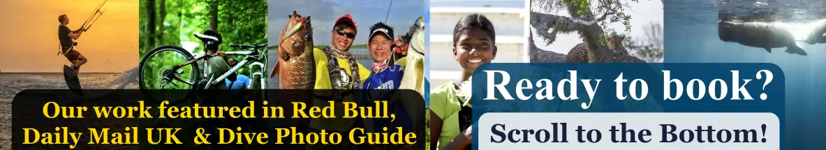 Scroll to the bottom of this page to Reserve Now!