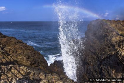 Visit Mawella Lagoon & Hummanaya Blowhole
