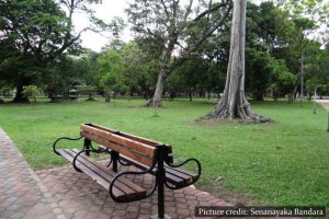 Viharamahadevi Park - Colombo