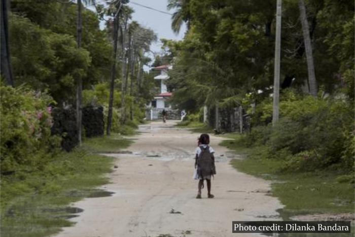 Delft Island Jaffna Sri Lanka