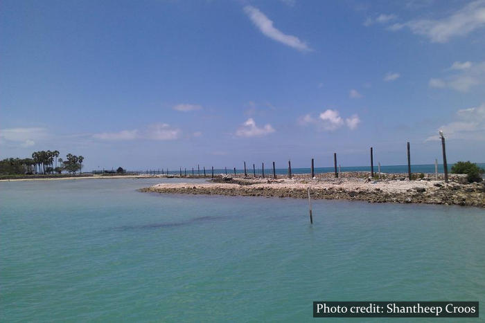 Delft Island Sri Lanka