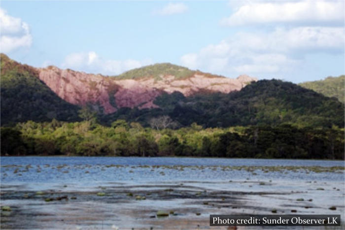 Rose Quartz Mountain Range Nar Park Sri Lanka