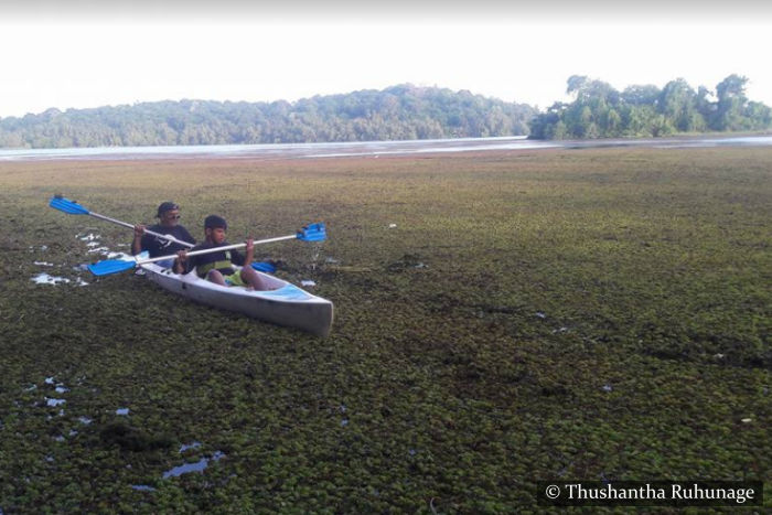 Kayaking Mawella Lagoon