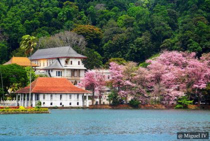 Bere Lake Kandy