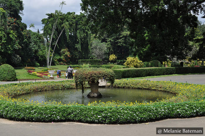 Peradeniya Botanical Garden Sri Lanka
