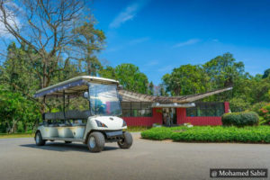 Peradeniya Garden - Kandy