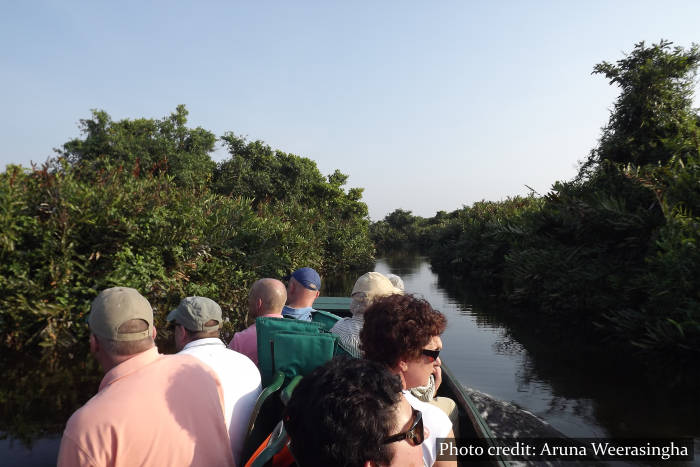 Boat safaris Muthurajawela Marsh Sri Lanka