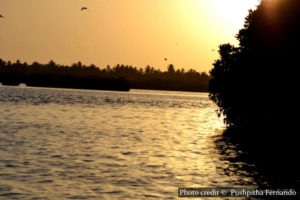 Negombo Lagoon - Negombo