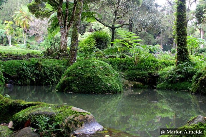 Nuwara Eliya - Sri Lanka