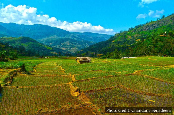 Nuwara Eliya - Sri Lanka