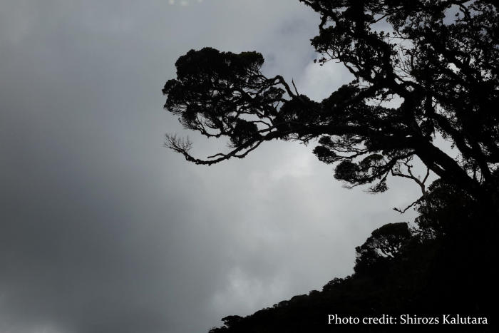 Nuwara Eliya - Sri Lanka