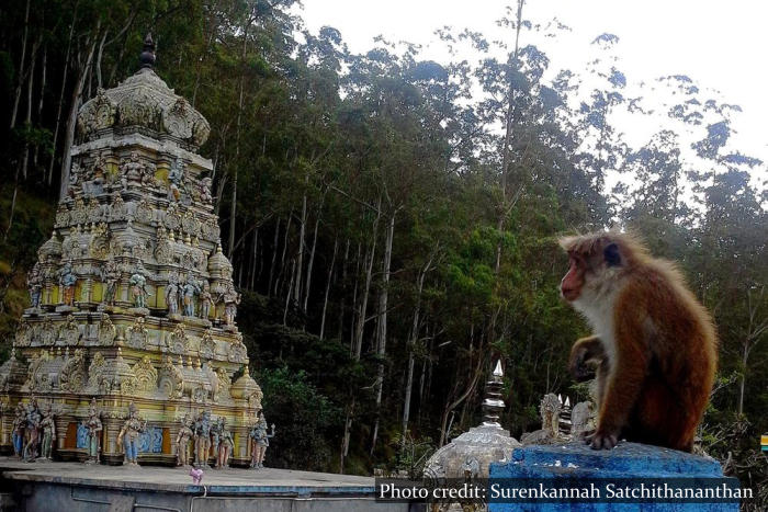 Sita Temple - Nuwara Eliya