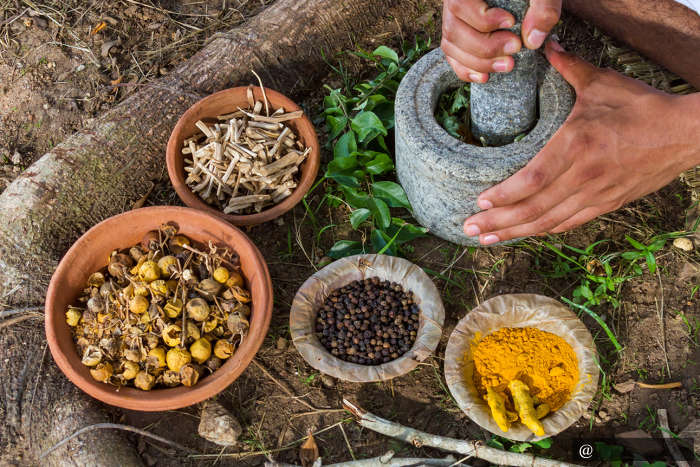 Ayurveda - Sri Lanka