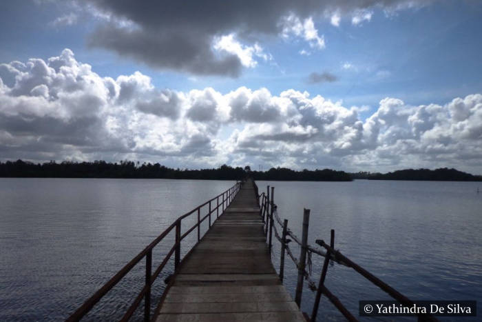 Maadu River Balapitiya Sri Lanka