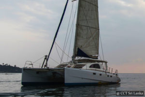 Ruby 43' - Yacht