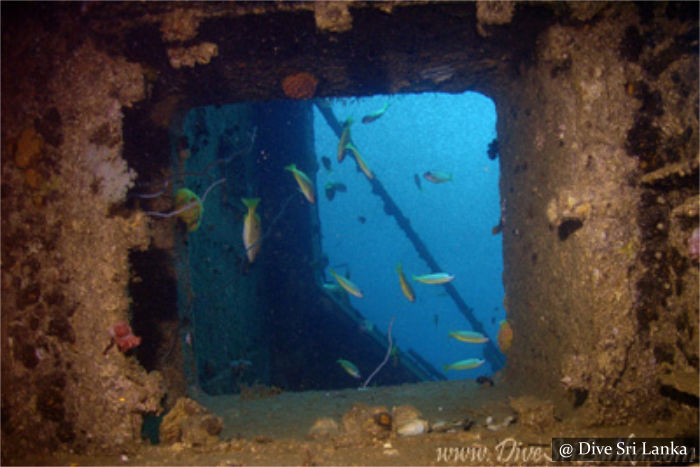 Cargo Wreck - Scuba Dive Site - Colombo