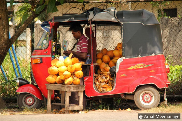 Travel in Public Buses Sri Lanka