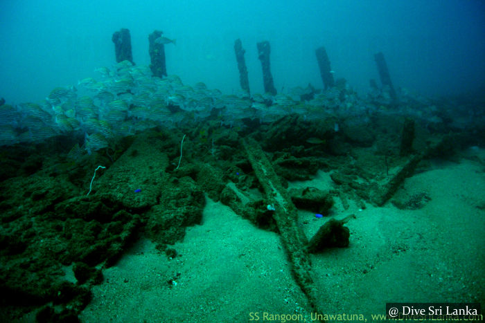 SS Rangoon Wreck - Scuba Dive Site - Unawatuna