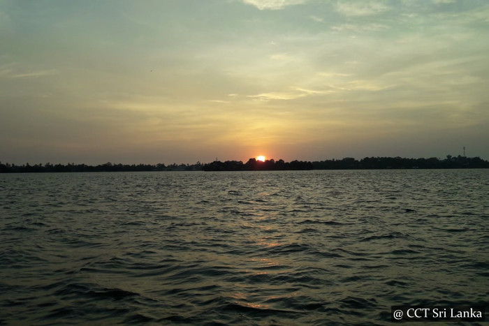 Refreshing Lake Fishing - Bolgoda Lake