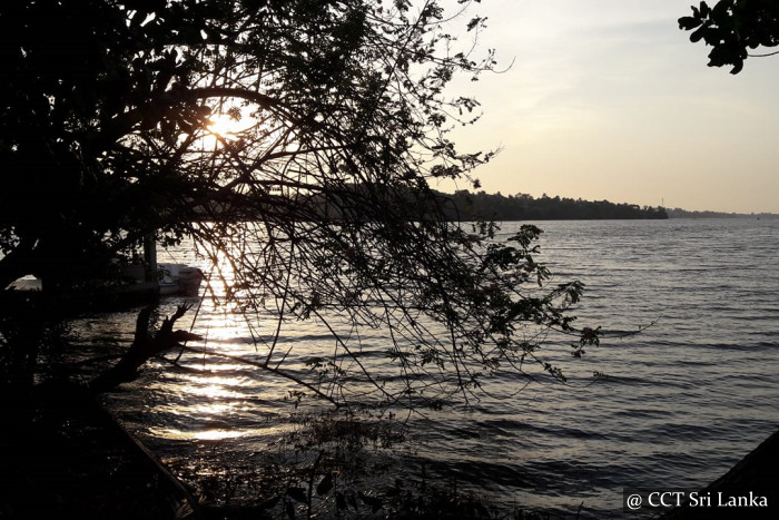 Refreshing Lake Fishing - Bolgoda Lake