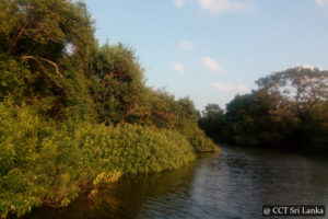 Kokkilai Lagoon