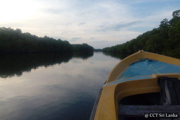 Kokkilai Lagoon