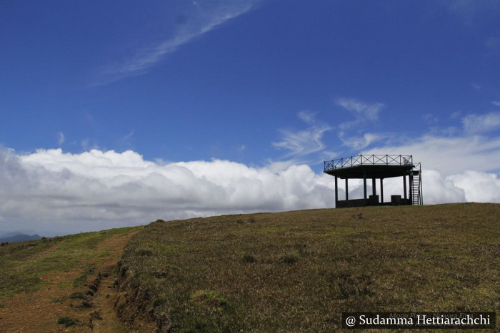 Nuwara Eliya - Moon Plains