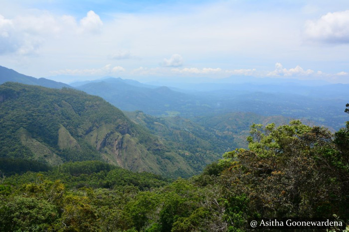 Nuwara Eliya - Moon Plains