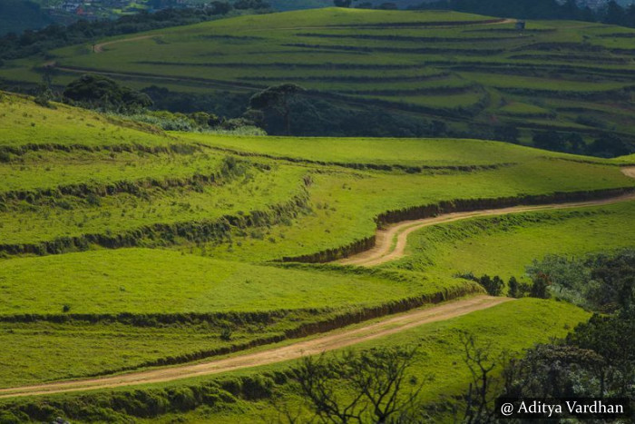 Nuwara Eliya - Moon Plains