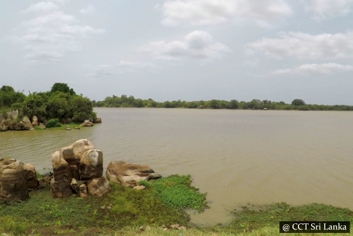 Paddle With Crocodiles Trincomalee