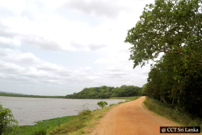 Paddle With Crocodiles - Cross Country Travels Sri Lanka