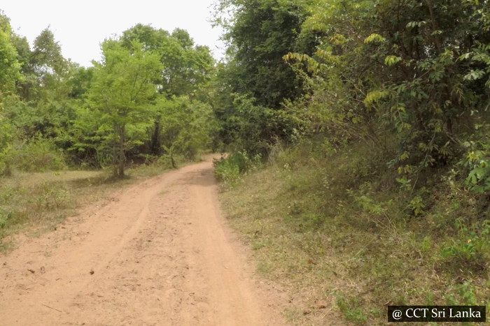 Scooter Safari Trincomalee