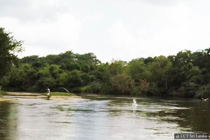 Lagoon Fishing - Gangewadiya Eluwankulama