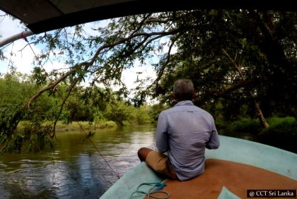 River safaris - From Gangewardiya & Eluwankulama