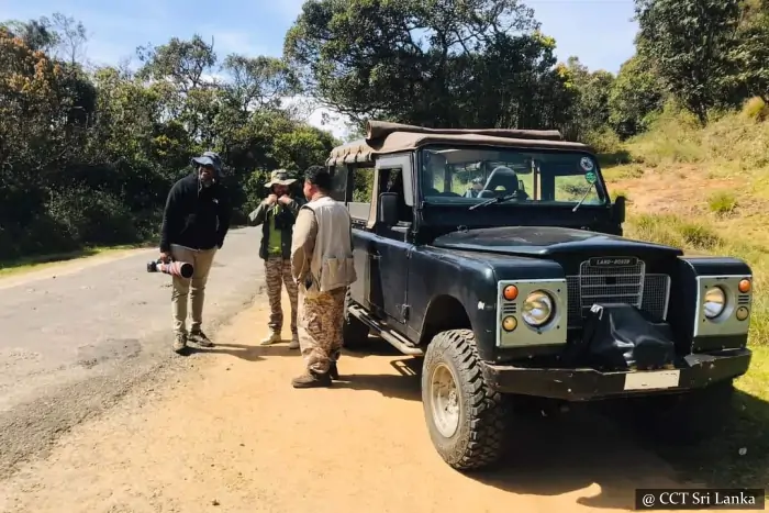 safari in sri lanka